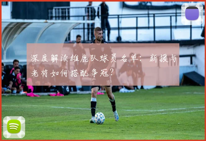 深度解读雄鹿队球员名单：新援与老将如何搭配争冠？