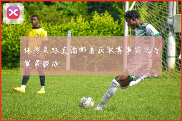 体彩足球直播哪看获取赛事实况与赛事解读