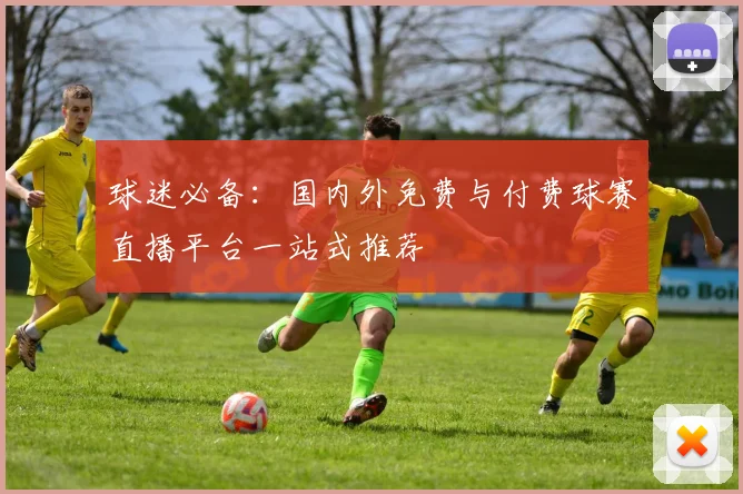 球迷必备：国内外免费与付费球赛直播平台一站式推荐