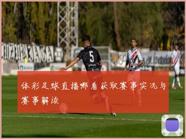 体彩足球直播哪看获取赛事实况与赛事解读